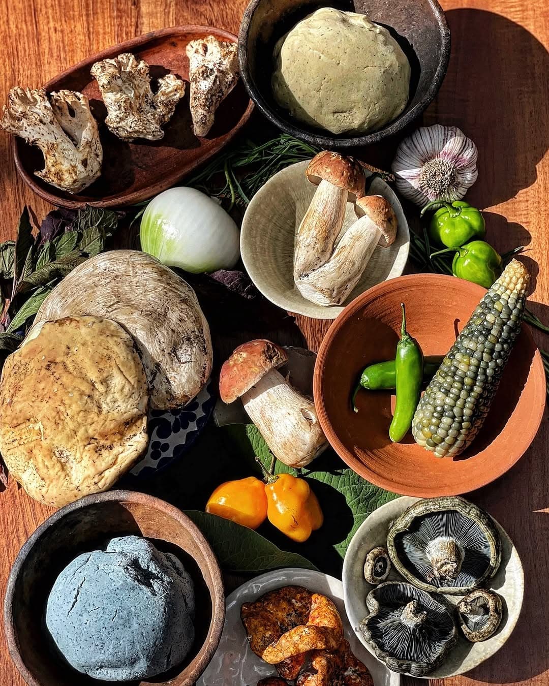 Our Specialty Growers