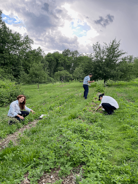 Chefs We Proudly Grow For